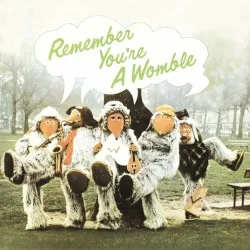 Remember You're A Womble album by The Wombles