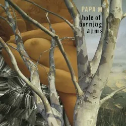 Hole of Burning Alms album by David Pajo