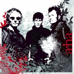 Analogue album by a-ha