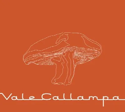 Vale Callampa
