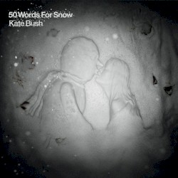 50 Words for Snow album by Kate Bush