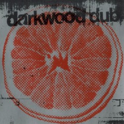 U Nedogled album by Darkwood Dub