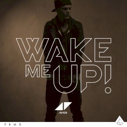Wake Me Up album by Avicii