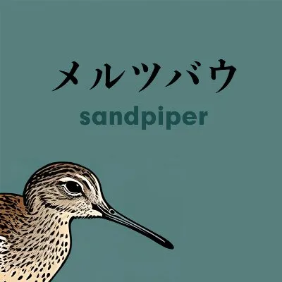Sandpiper album by Merzbow