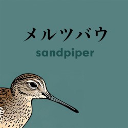 Sandpiper album by Merzbow