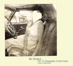 Try to Remember Everything album by Bic Runga