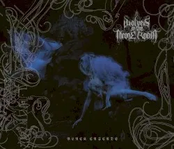 Black Cascade