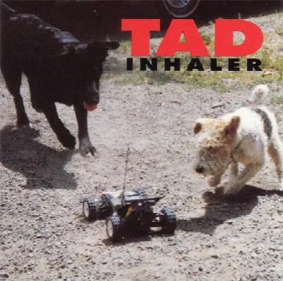 Inhaler
