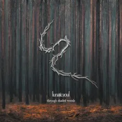 Through Shaded Woods album by Lunatic Soul