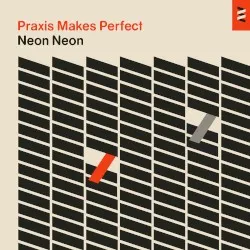 Praxis Makes Perfect album by Neon Neon