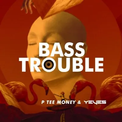 Bass Trouble album by P Tee Money