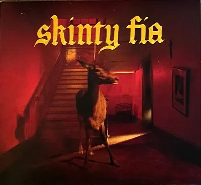 Skinty Fia