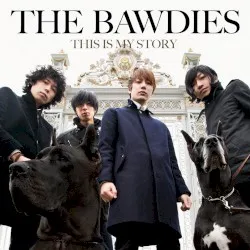EMOTION POTION album by The Bawdies