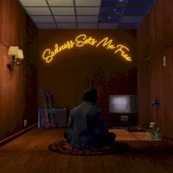 Sadness Sets Me Free album by Gruff Rhys