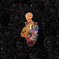 Visceral