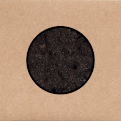 Birthing album by Swans