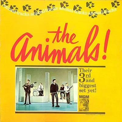 Animal Tracks