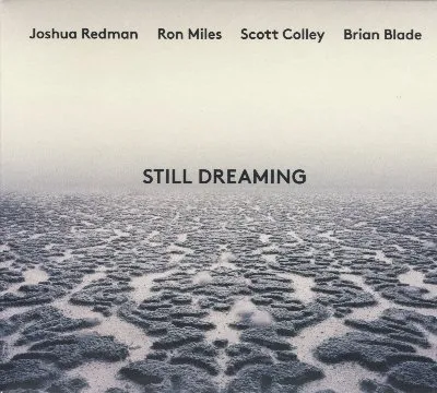 Still Dreaming