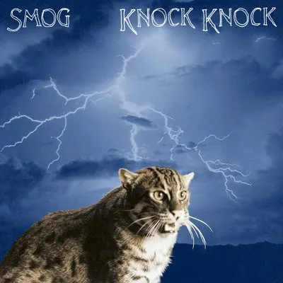 Knock Knock