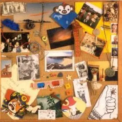 Barafundle album by Gorky's Zygotic Mynci