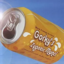 How I Long to Feel That Summer in My Heart album by Gorky's Zygotic Mynci