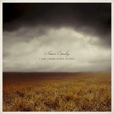 I See Three Birds Flying album by Adrian Crowley