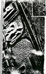Vratya Southward album by Merzbow