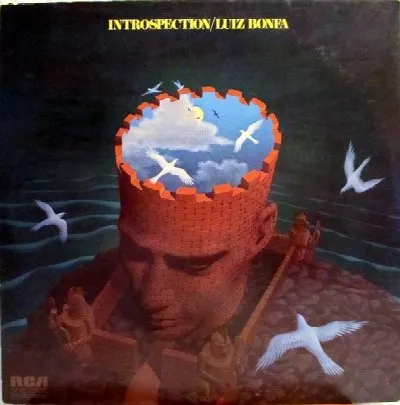 Introspection