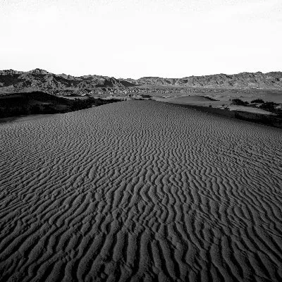Desert Scars album by Daniel Menche