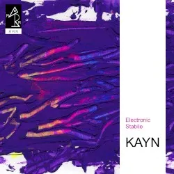 Electronic Stabile album by Roland Kayn