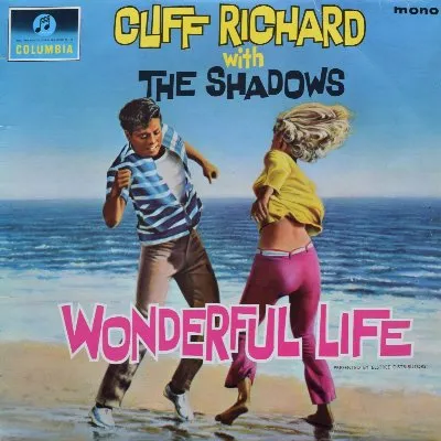 Wonderful Life
