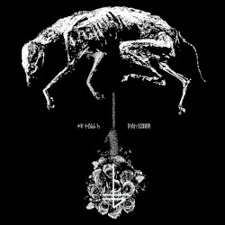 Greying album by The Banner