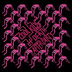 Afterparty album by Cool Kids of Death