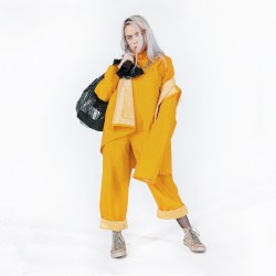 Bellyache album by Billie Eilish