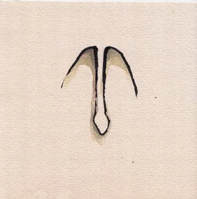 Viator (Jack Stauber album)