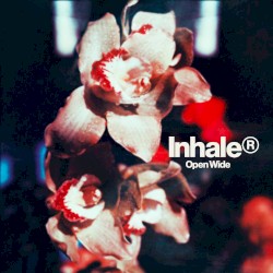 Open Wide album by Inhaler