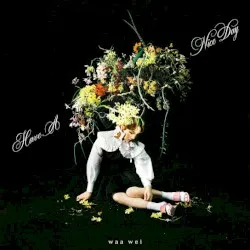 Have a Nice Day album by Waa Wei