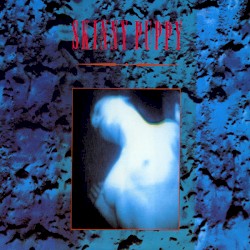 Mind: The Perpetual Intercourse album by Skinny Puppy