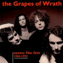 Seems Like Fate 1984–1992 album by The Grapes of Wrath