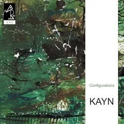 Configurations album by Roland Kayn