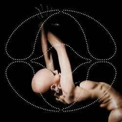Eusexua album by FKA twigs