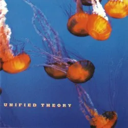 Unified Theory