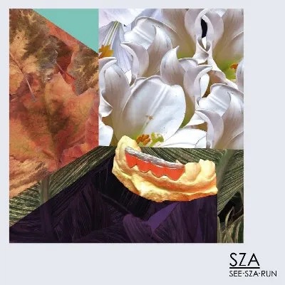 See.SZA.Run