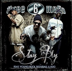 Stay Fly album by 8Ball & MJG