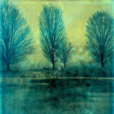 Snow (Dusk, Dawn) album by Taylor Deupree