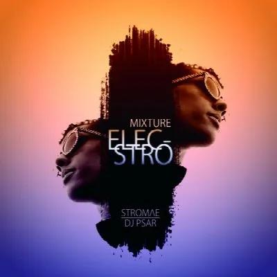Mixture Elecstro