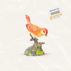 Cheap! album by Brunori Sas