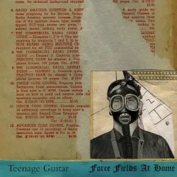 Force Fields At Home album by Robert Pollard