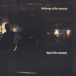 Beat of the Mesozoic album by Birdsongs of the Mesozoic