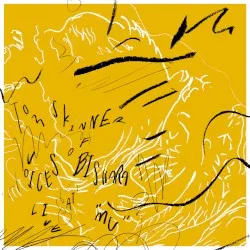 Voices of Bishara Live at Mu album by Tom Skinner